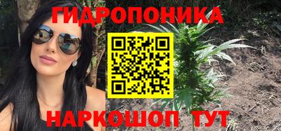 Альфа ПВП Сланцы